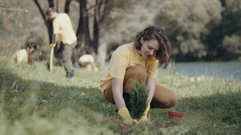 Best Root Management and Removal  in Rochester, WA