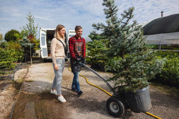 Best Utility Line Clearance  in Rochester, WA